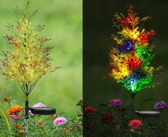 Solar-powered Christmas Lights Pine And Cypress Trees