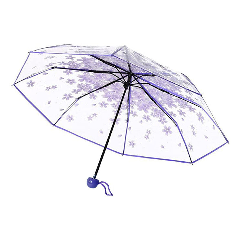 Cherry Blossom Transparent Umbrella Girl