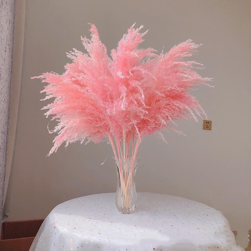 Dried Flowers Bouquet Nettle Reeds