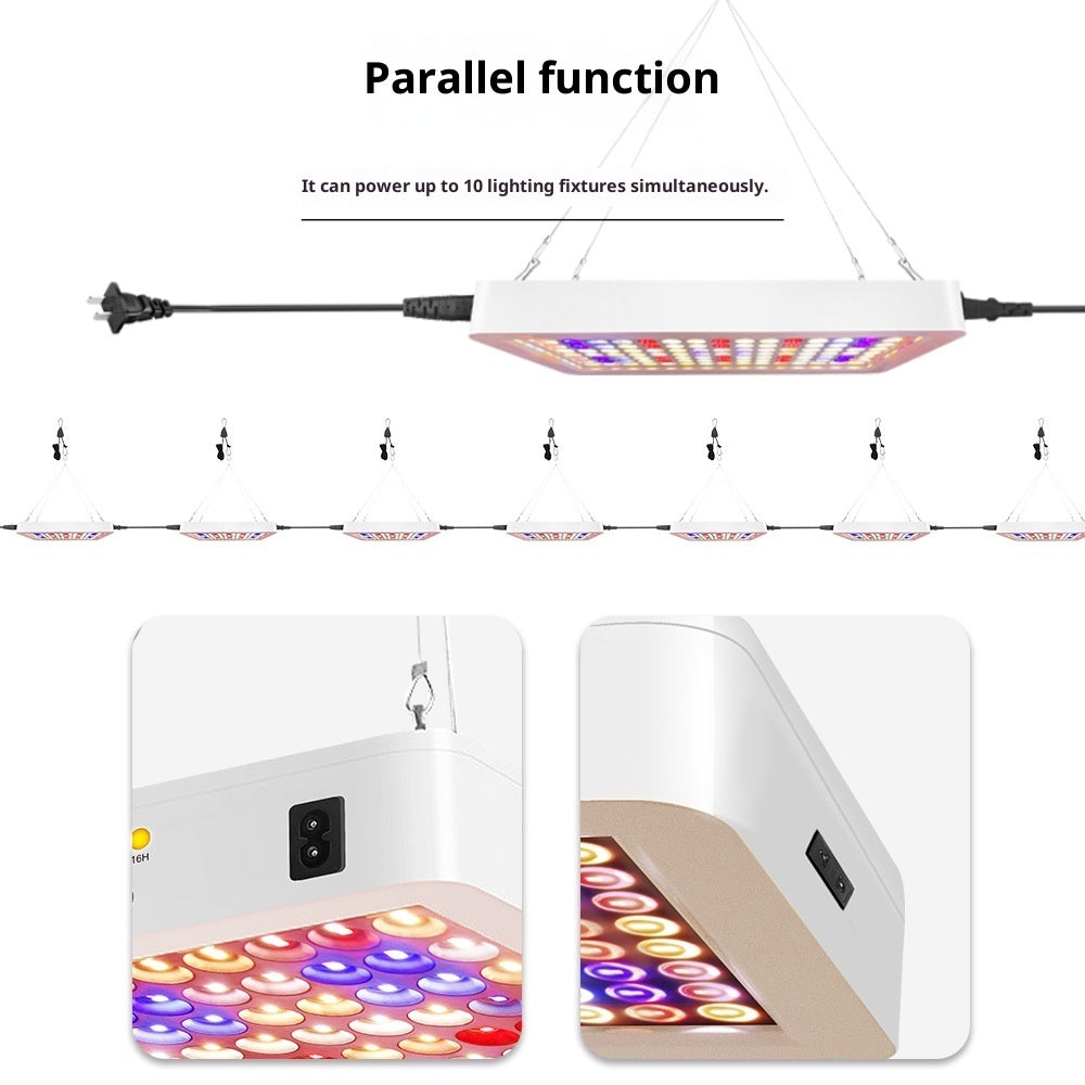Led Grow Light Outdoor Plastic Greenhouse Vegetable Plant Growing Light