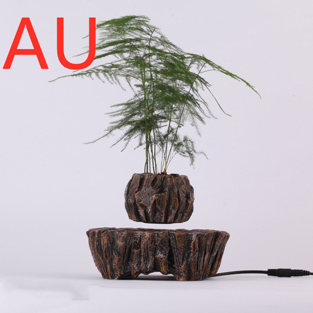Plants Float in Air