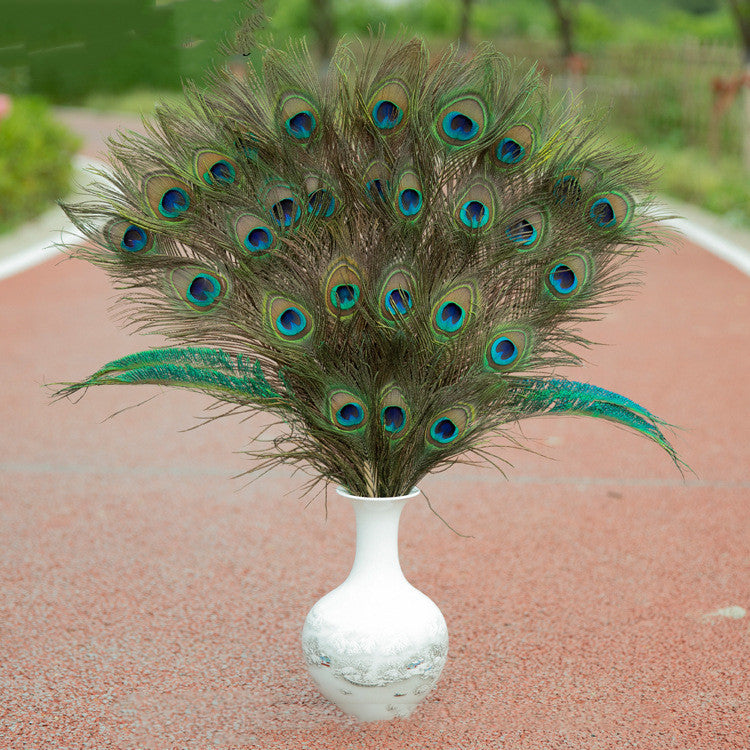 Natural Peacock Feather Tail Colorful Peacock Feathers