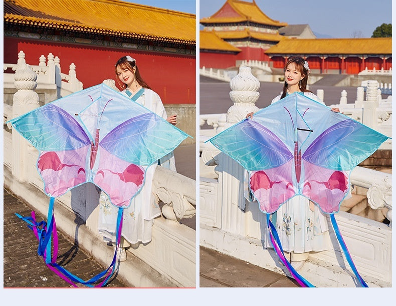 Chinese Style Kite Couple Butterfly