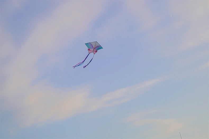 Chinese Style Kite Couple Butterfly