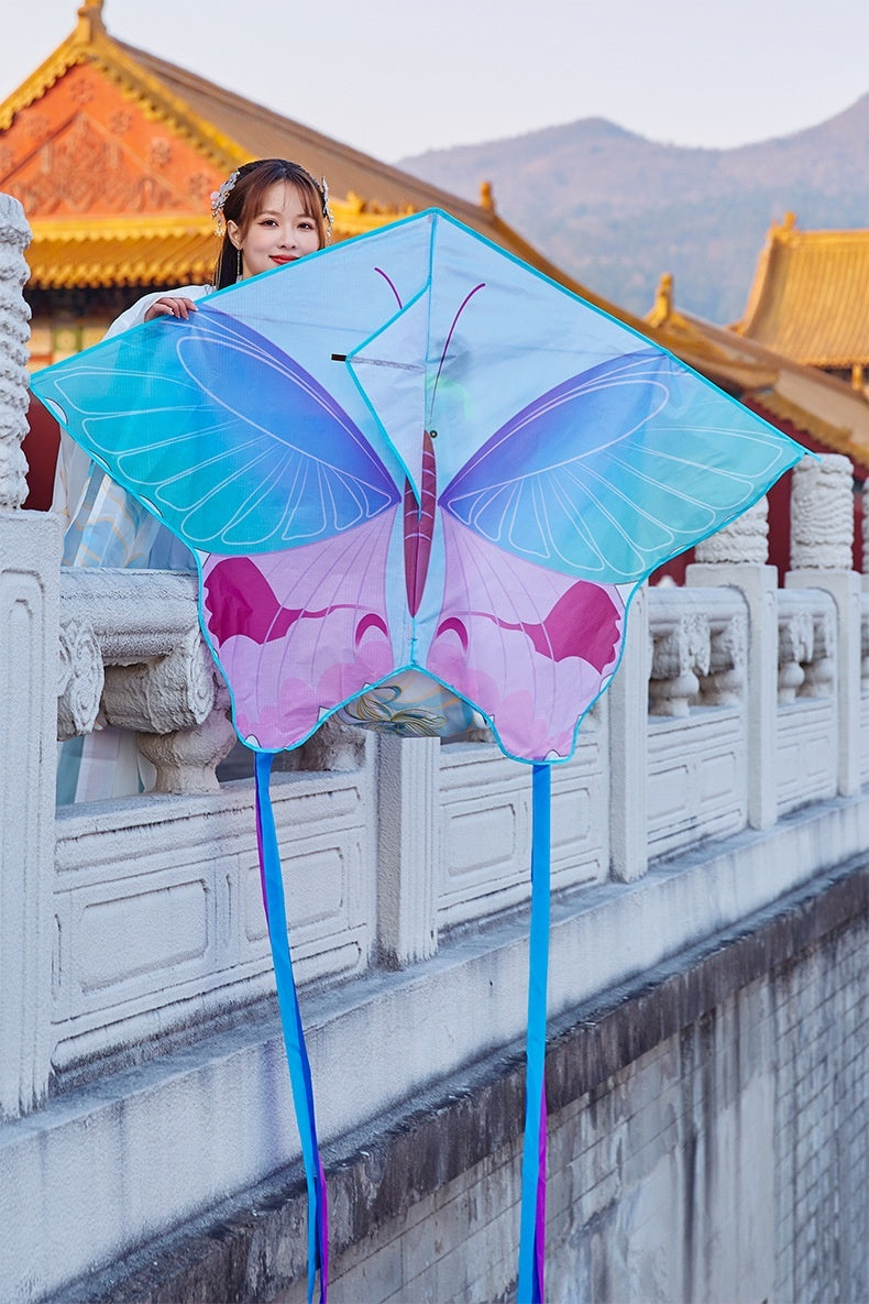 Chinese Style Kite Couple Butterfly
