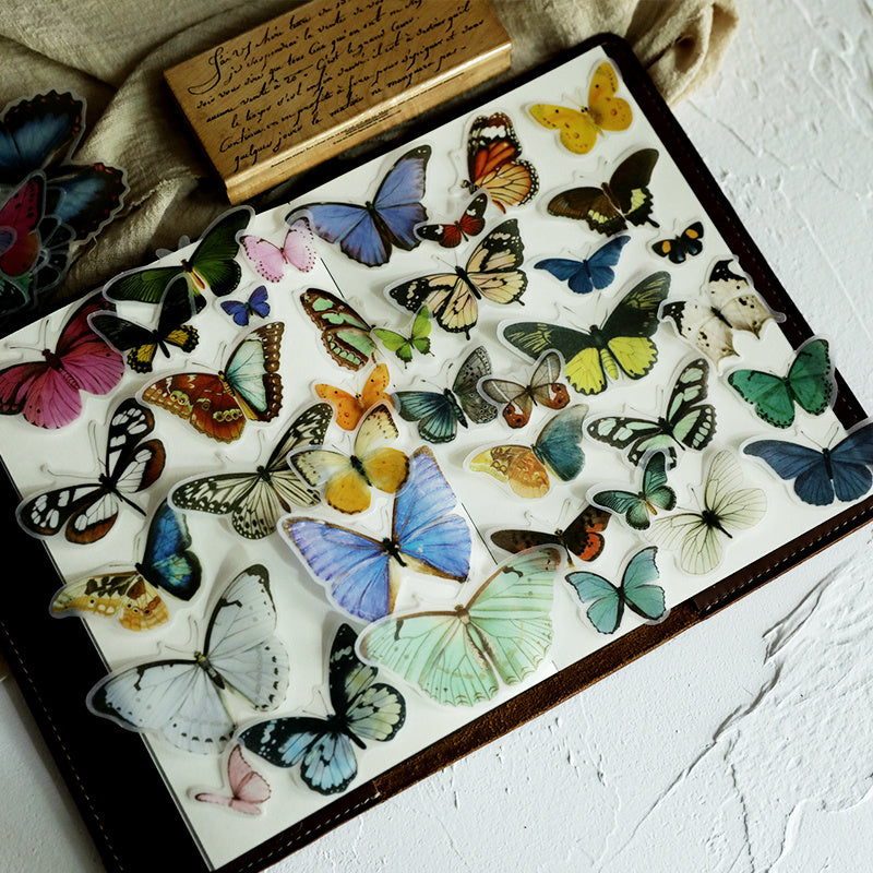 Hand Account Material Retro Small Size Butterfly Illustration Book