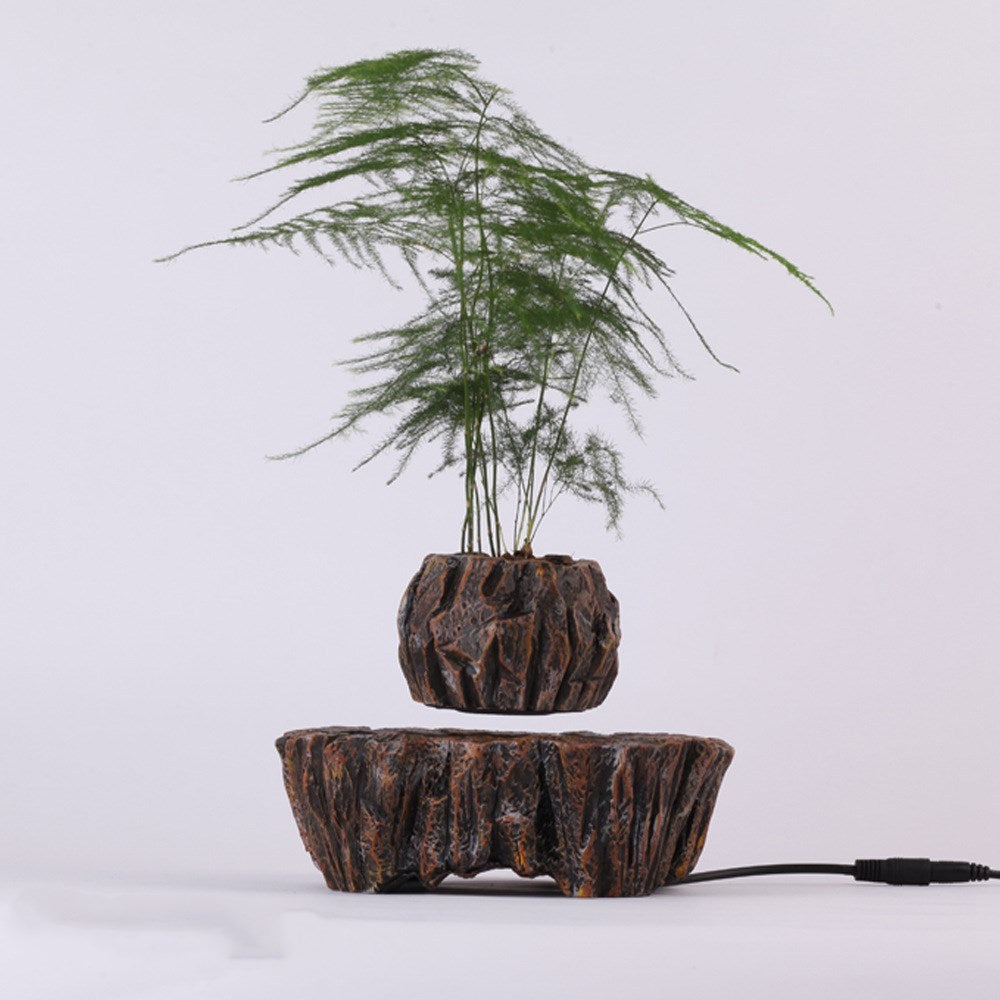 Plants Float in Air