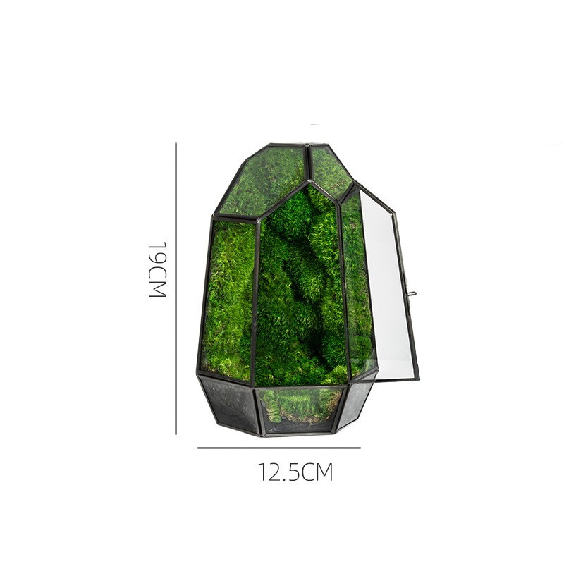 Green Plant Ecological Bottle Potted Plants
