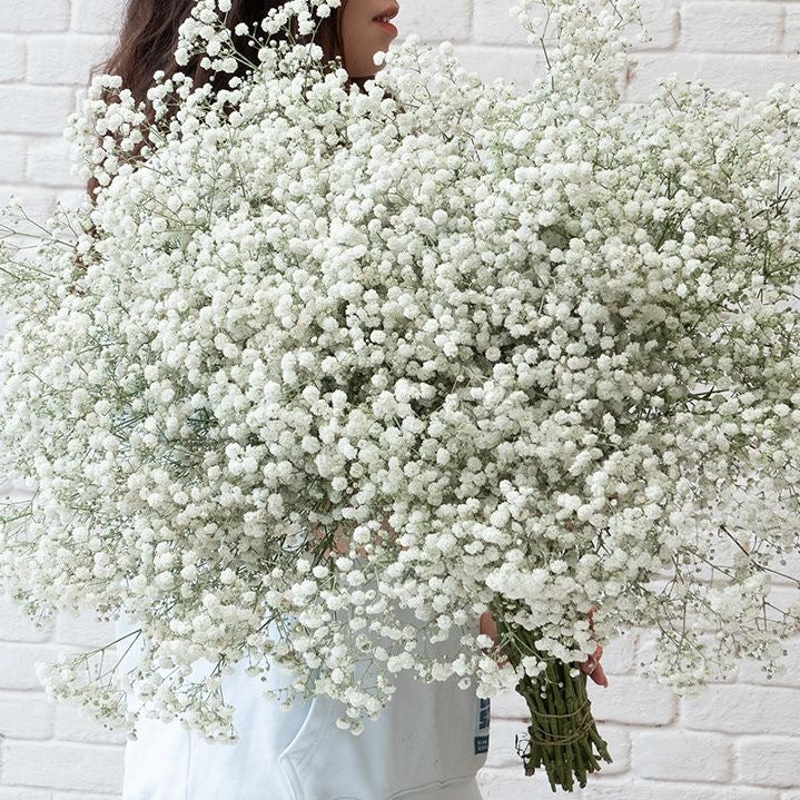 Wedding Decoration Starry Soft Rubber Hand Feeling Artificial Flower