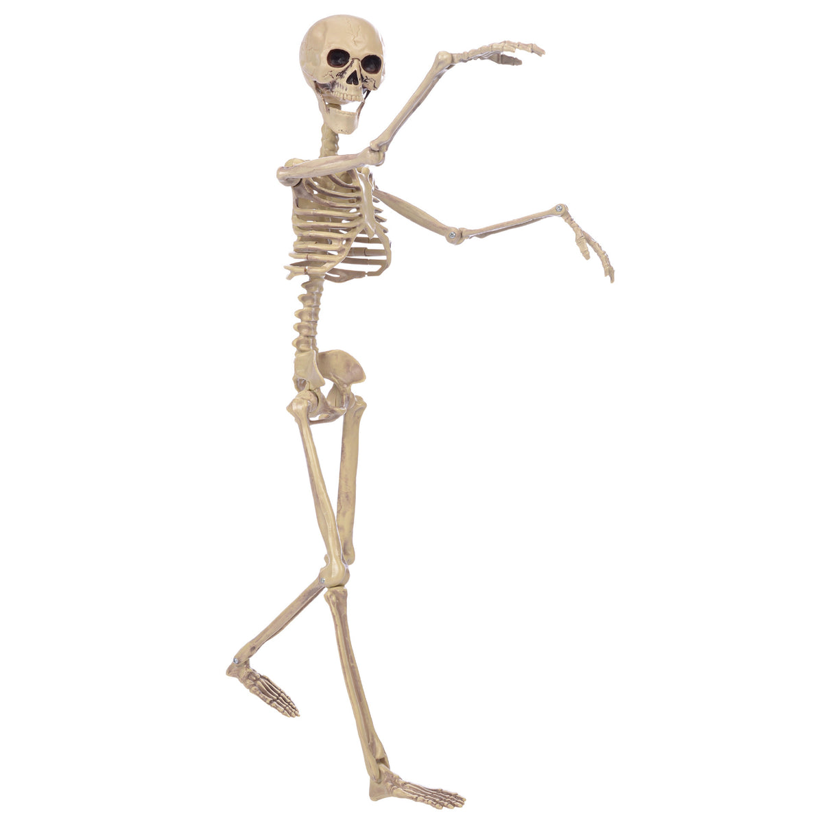 Halloween Skull Fish-Skeleton Hanger 80cm Simulation
