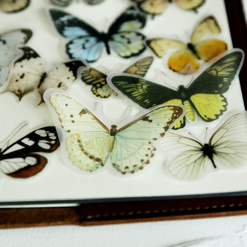 Hand Account Material Retro Small Size Butterfly Illustration Book