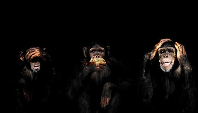 See No Evil, Speak No Evil, Hear No Evil Modern Decorative Abstract Monkey Wall Art Canvas