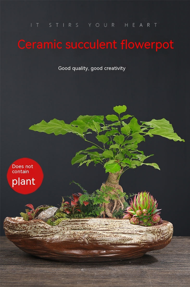 Ceramic Breathable Creative Personality Succulent Bonsai
