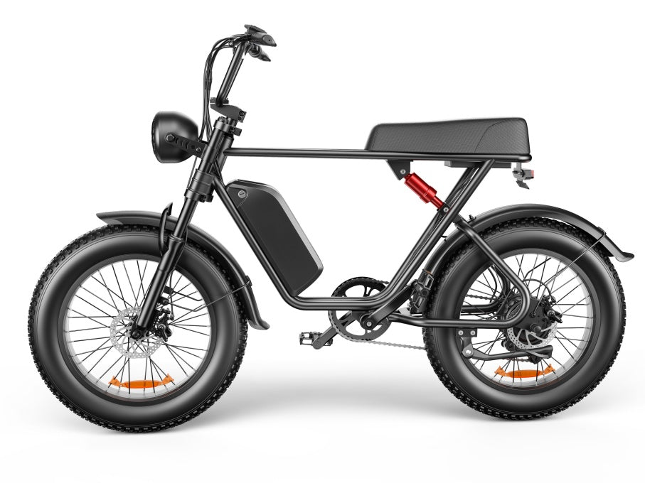 C91 - 20 Inch 20A Electric Bike ---- Purchase Style, Please Check The Details