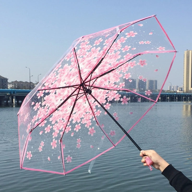 Cherry Blossom Transparent Umbrella Girl