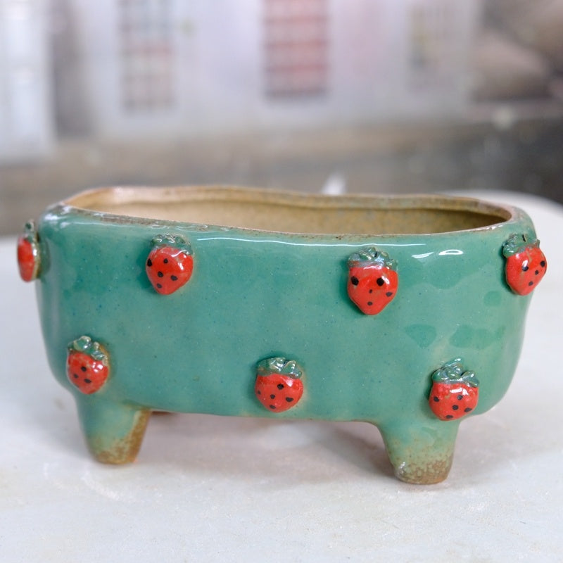 Strawberry Stoneware Succulent Plant Pot