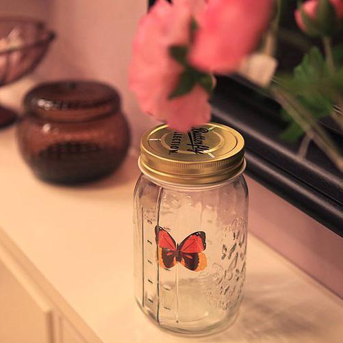 Simulation Butterfly Physical Photo Butterfly Jar