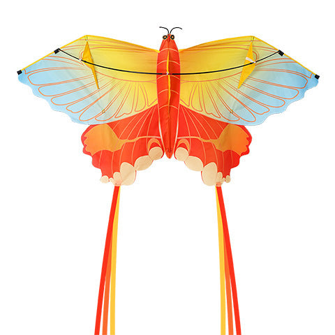 Chinese Style Kite Couple Butterfly