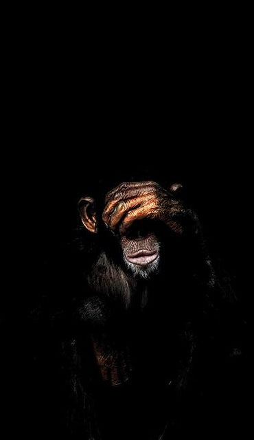 See No Evil, Speak No Evil, Hear No Evil Modern Decorative Abstract Monkey Wall Art Canvas