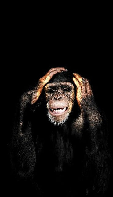See No Evil, Speak No Evil, Hear No Evil Modern Decorative Abstract Monkey Wall Art Canvas