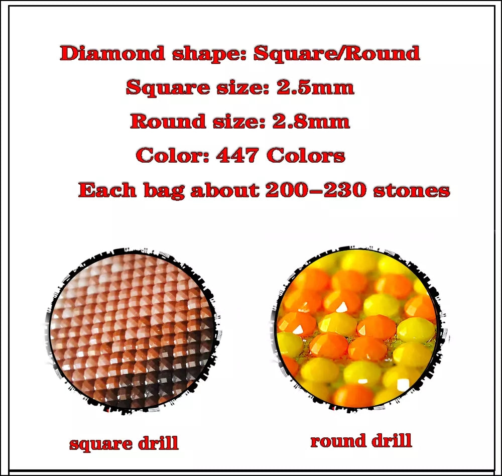 5519e4a646a5409d6f98c8ff84c56dda