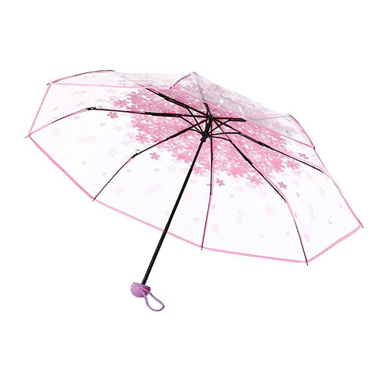 Cherry Blossom Transparent Umbrella Girl