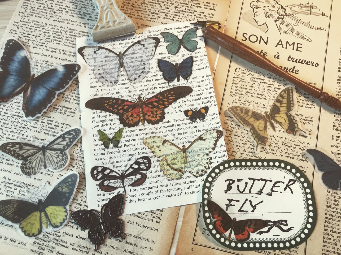 Hand Account Material Retro Small Size Butterfly Illustration Book