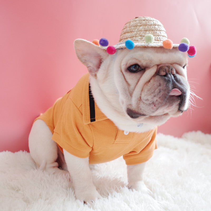 Dog Double Braid Straw Hat, Cat Hat, French Braided Hat