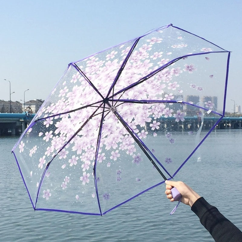 Cherry Blossom Transparent Umbrella Girl