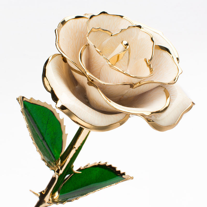 24K Gold-Plated Rose Flower With A Gift Box Valentine's Day Gift