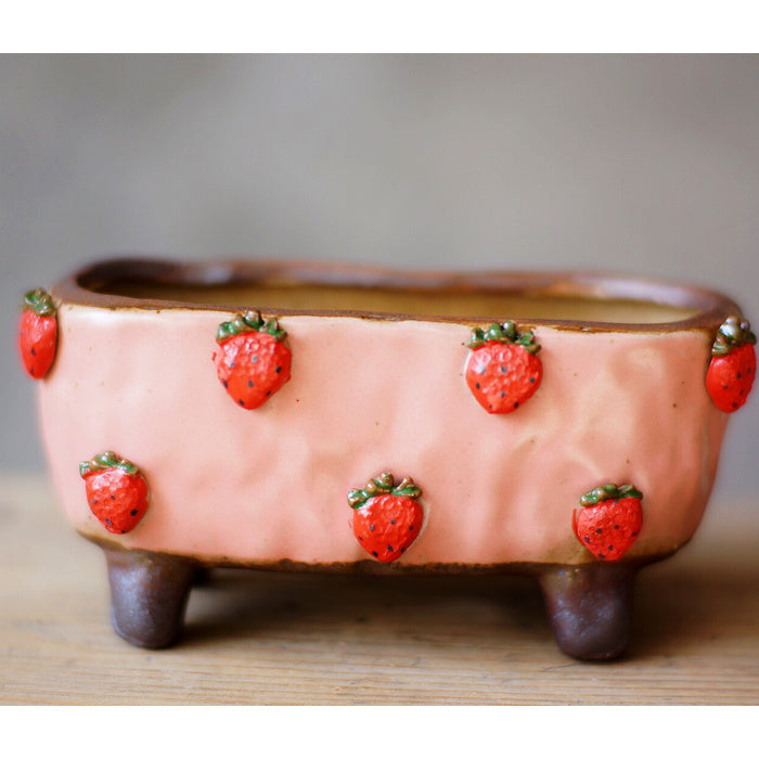 Strawberry Stoneware Succulent Plant Pot