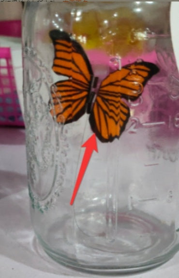 Simulation Butterfly Physical Photo Butterfly Jar