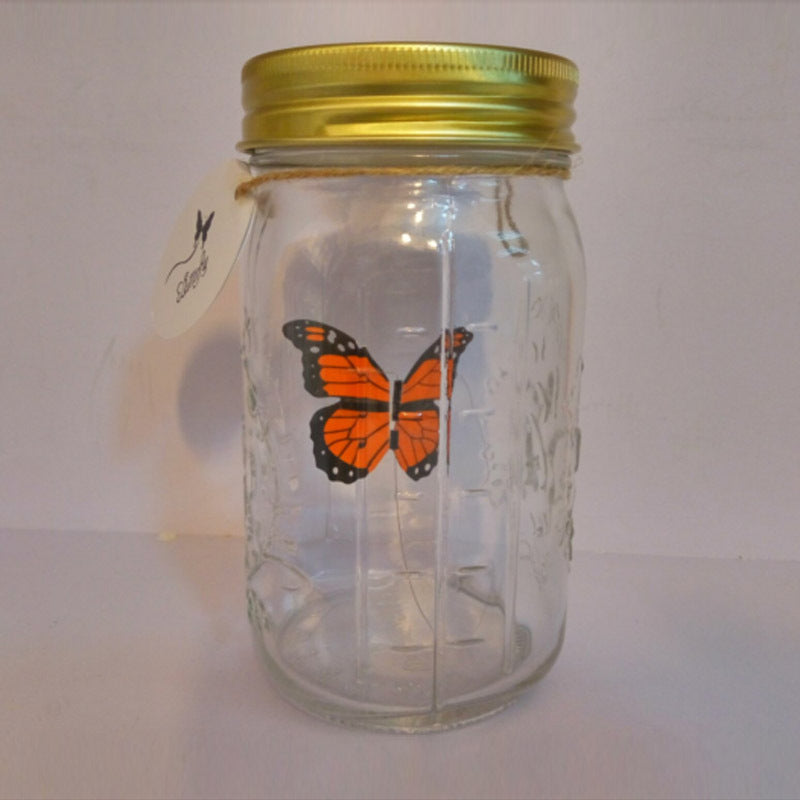 Simulation Butterfly Physical Photo Butterfly Jar