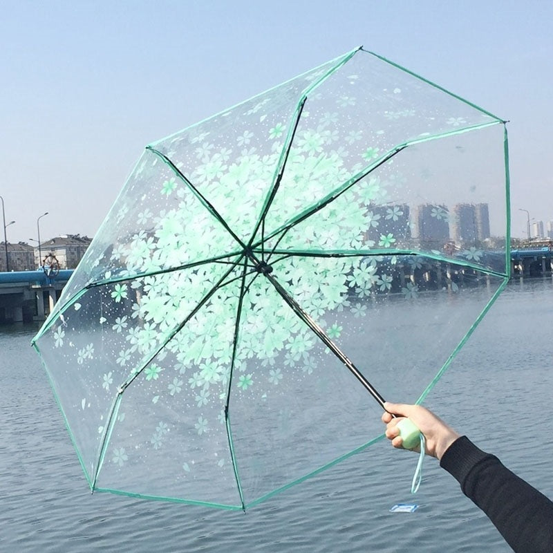 Cherry Blossom Transparent Umbrella Girl