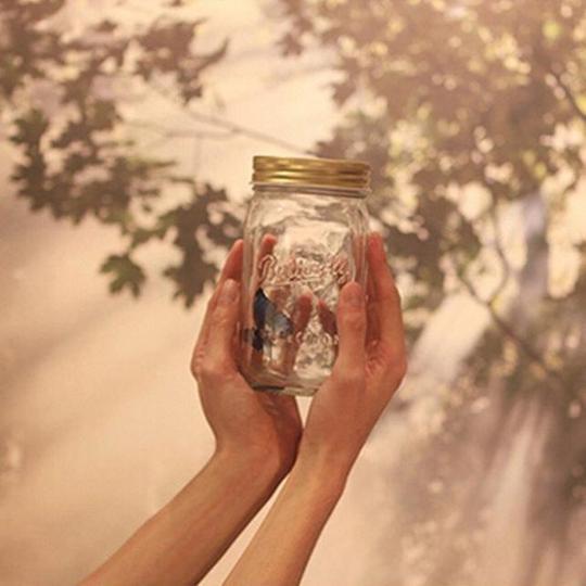 Simulation Butterfly Physical Photo Butterfly Jar