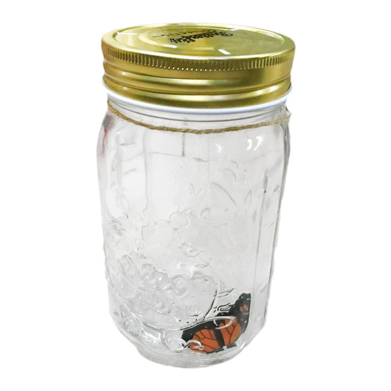Simulation Butterfly Physical Photo Butterfly Jar