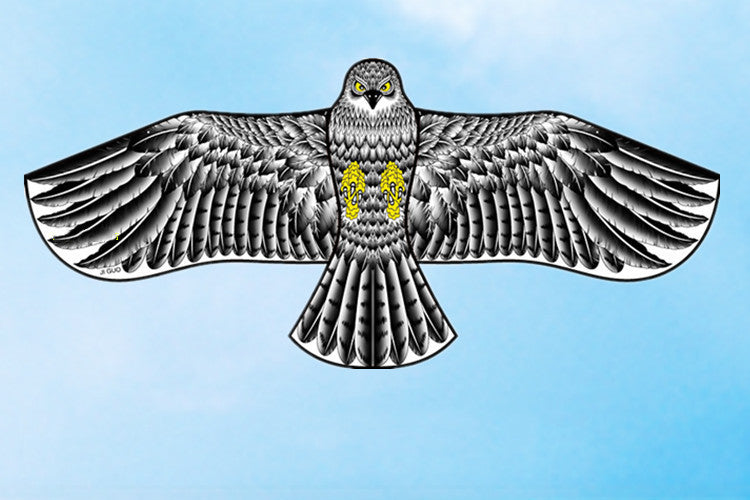Children Outdoor Cartoon Eagle Phoenix Kite
