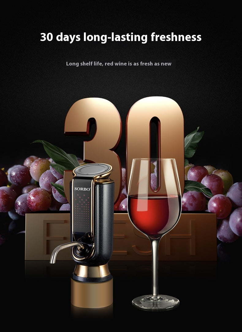 Electric Wine Decanter Fast Household Wine Decanter