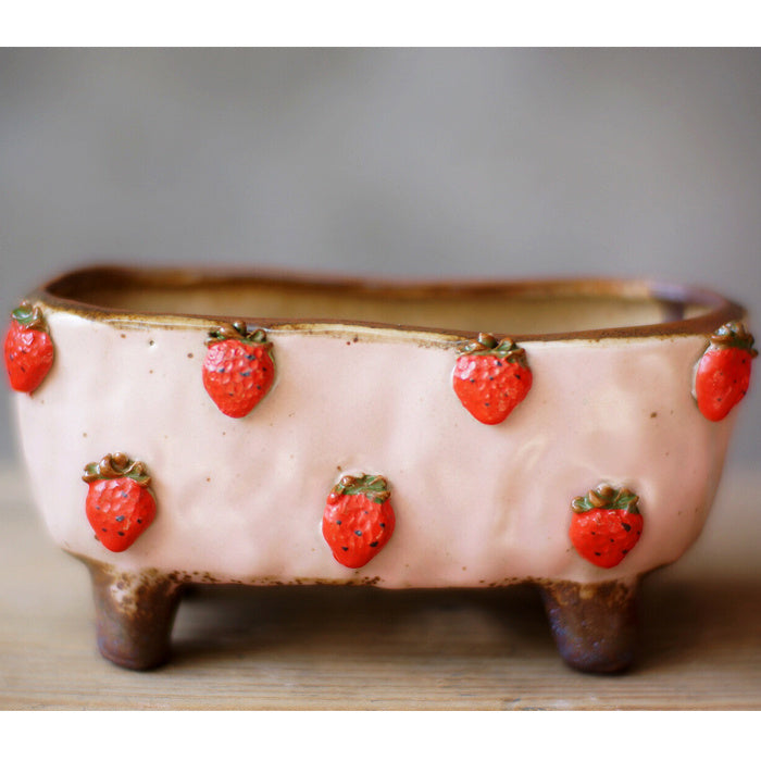 Strawberry Stoneware Succulent Plant Pot