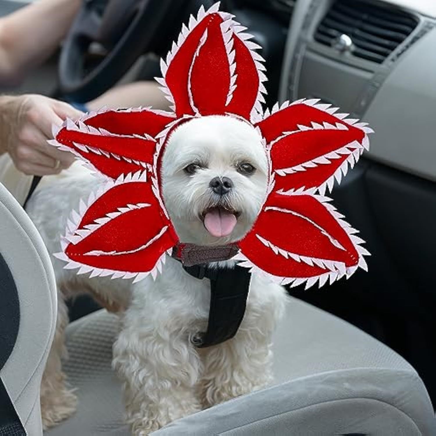 Dog Halloween Chomper Costume - Pet Holiday Demon Hat Scary Headband Flower Cosplay Outfits Funny Headwear Stranger Clothes For Medium Dog