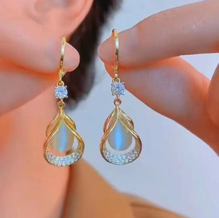 Micro Inlaid Zircon Exquisite Elegant Luxury Light Luxury High-End Earrings