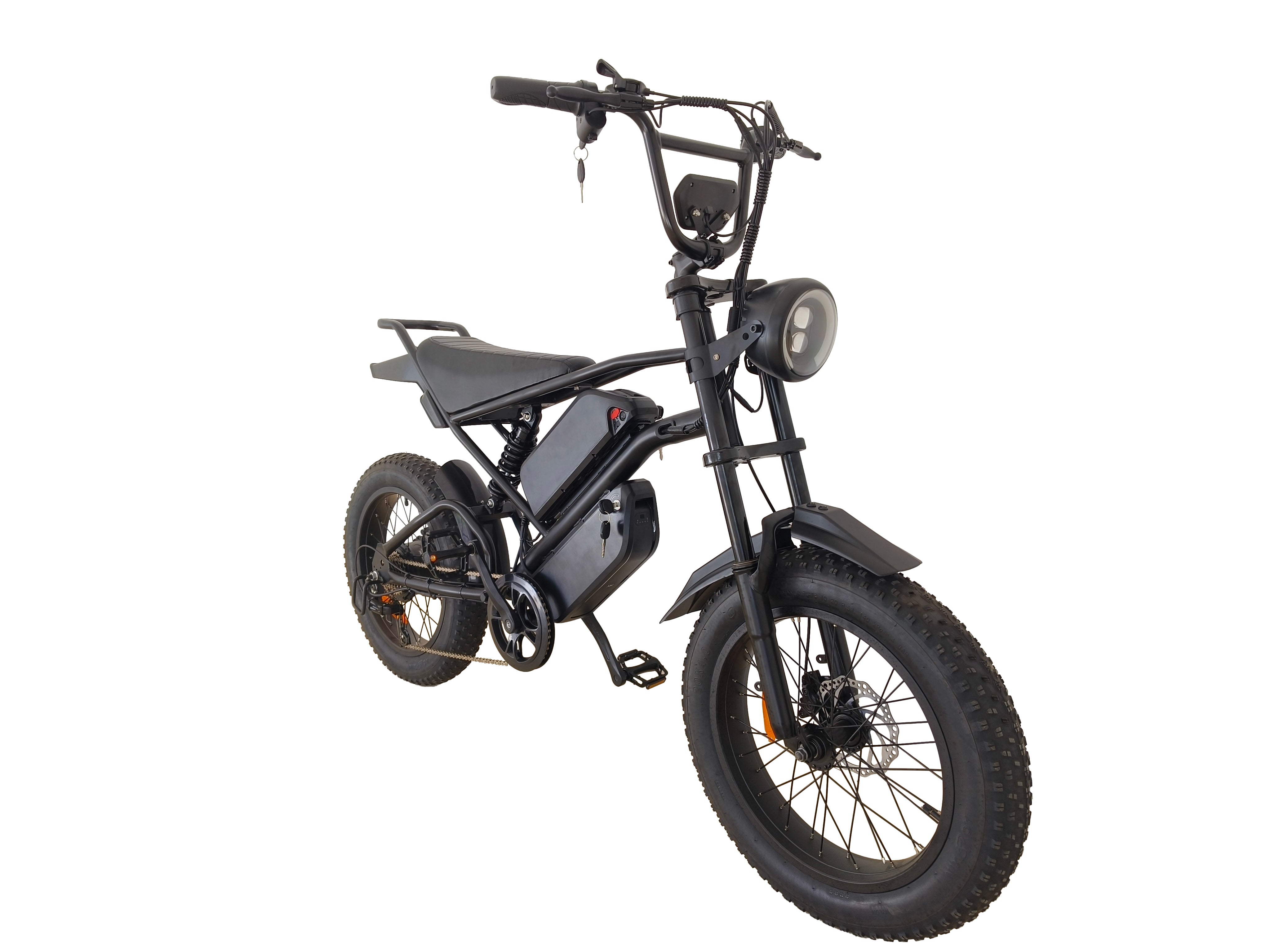 Ebike,1000W Motor,48V30Ah Battery,20 Inches,Maximum Speed 40-50KM