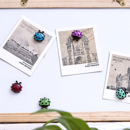Creative Ladybug Fridge Magnet
