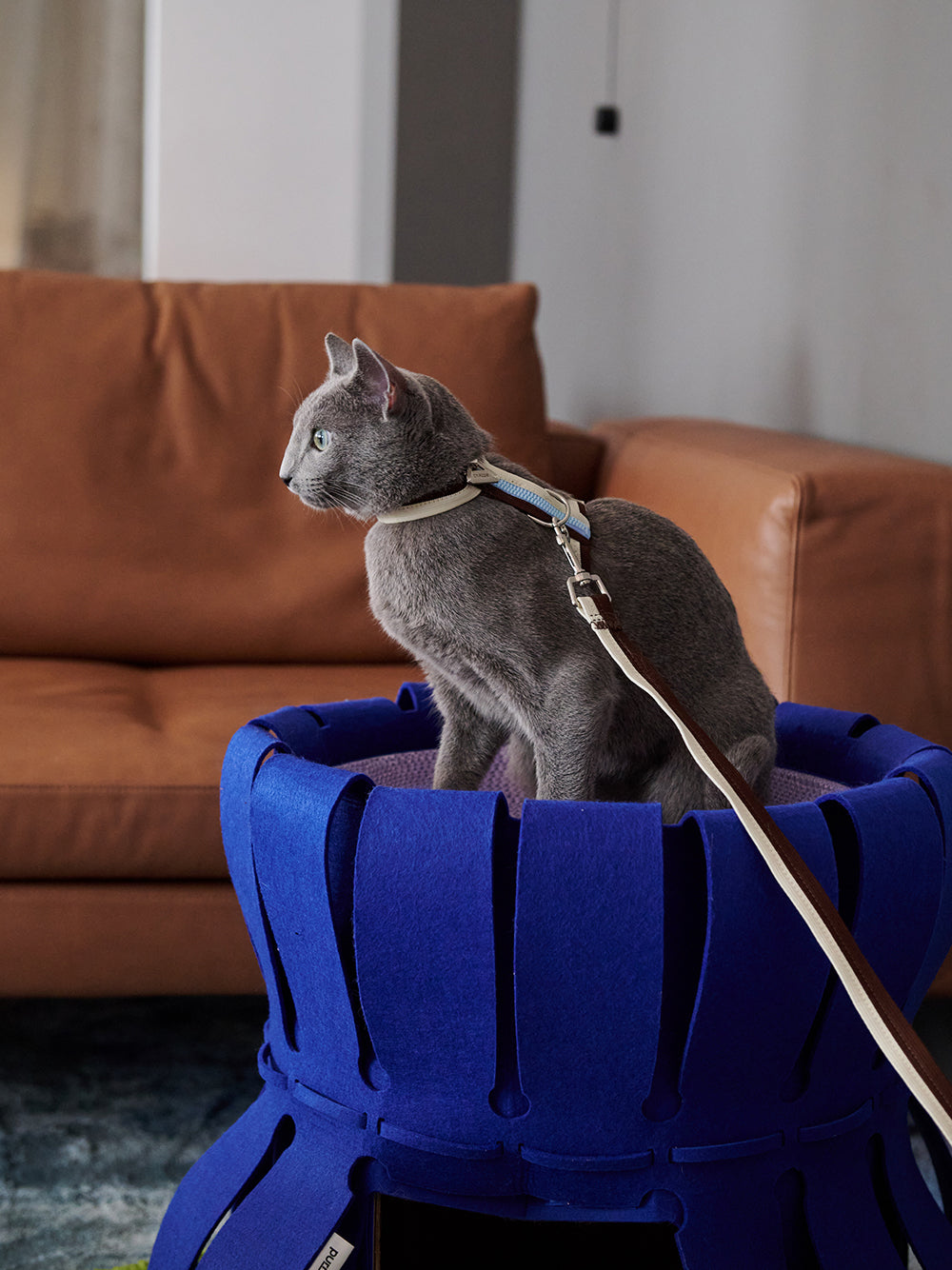 Double-Deck Scratching Board Multi-Functional Cat Litter
