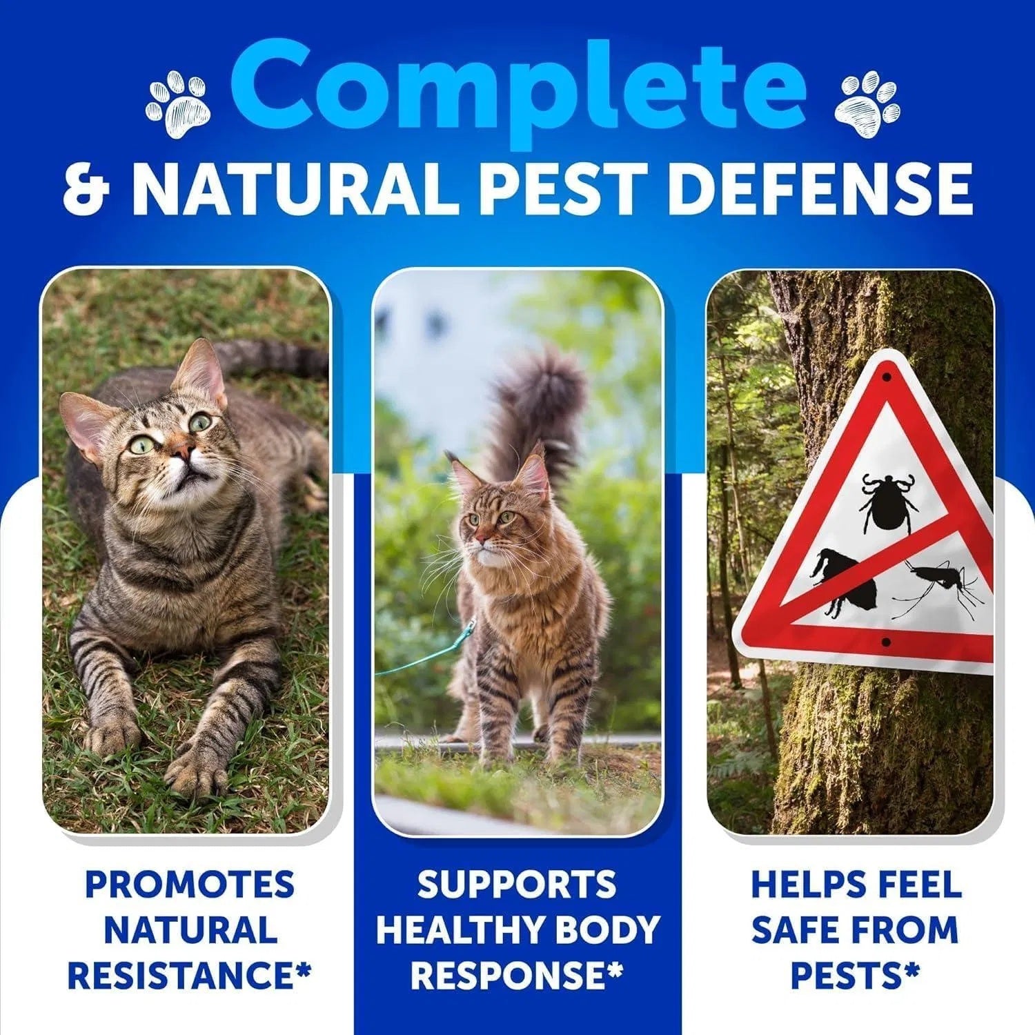 Flea Treatment For Cats Natural Flea And Tick Prevention Supplement For Cats Kittens Chewable Daily Oral Pills With Vitamins 135 Soft Chews Skin & Coat Dental Treats Digestion CANNOT Be Listed For Sa