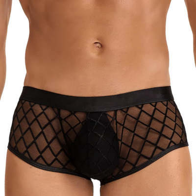 Men's Sexy See-through Underwear Diamond-Shaped Network Low Waist Briefs Mesh