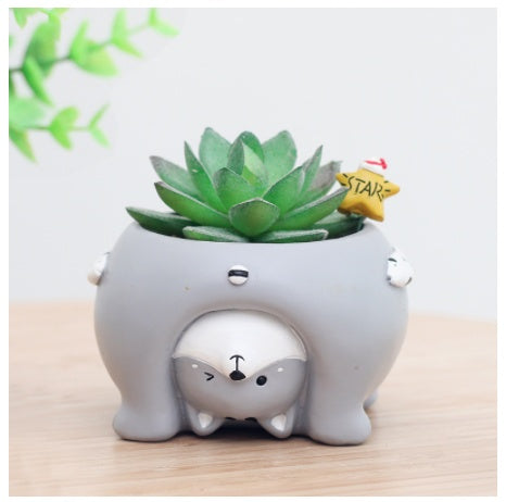 Cartoon Flower Pot