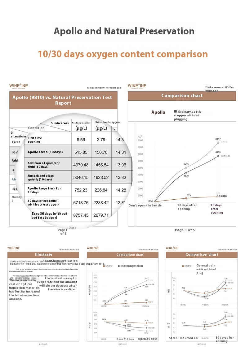 Electric Wine Decanter Fast Household Wine Decanter