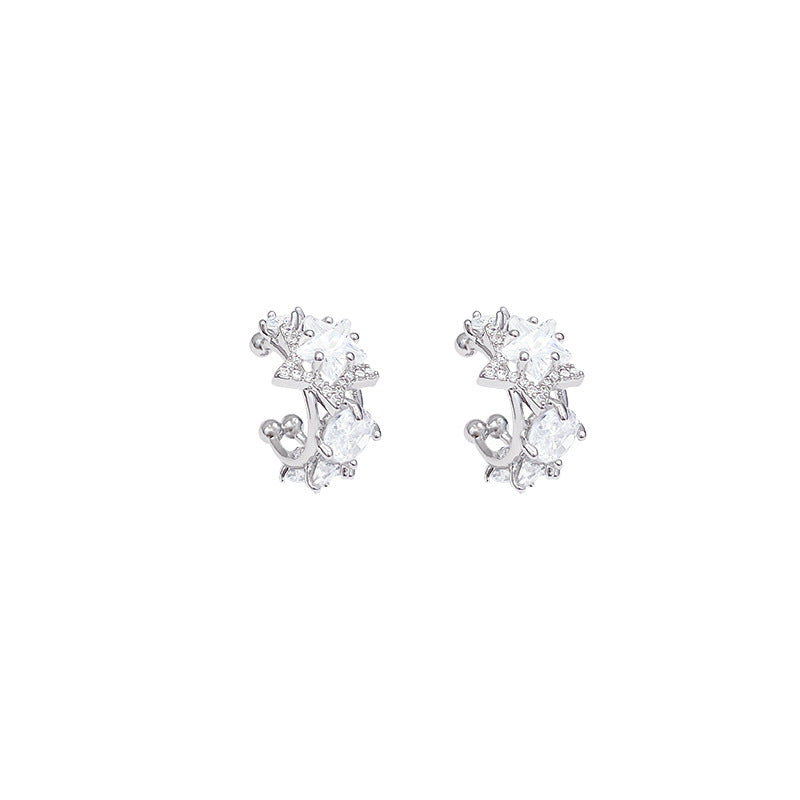 Women's Light Luxury Minority Exquisite Zircon Star Earrings