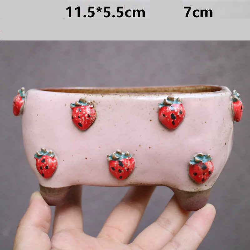Strawberry Stoneware Succulent Plant Pot